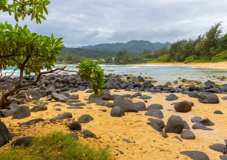 Moloa'a Beach is a Beach located in the city of Kilauea on Kauai, Hawaii