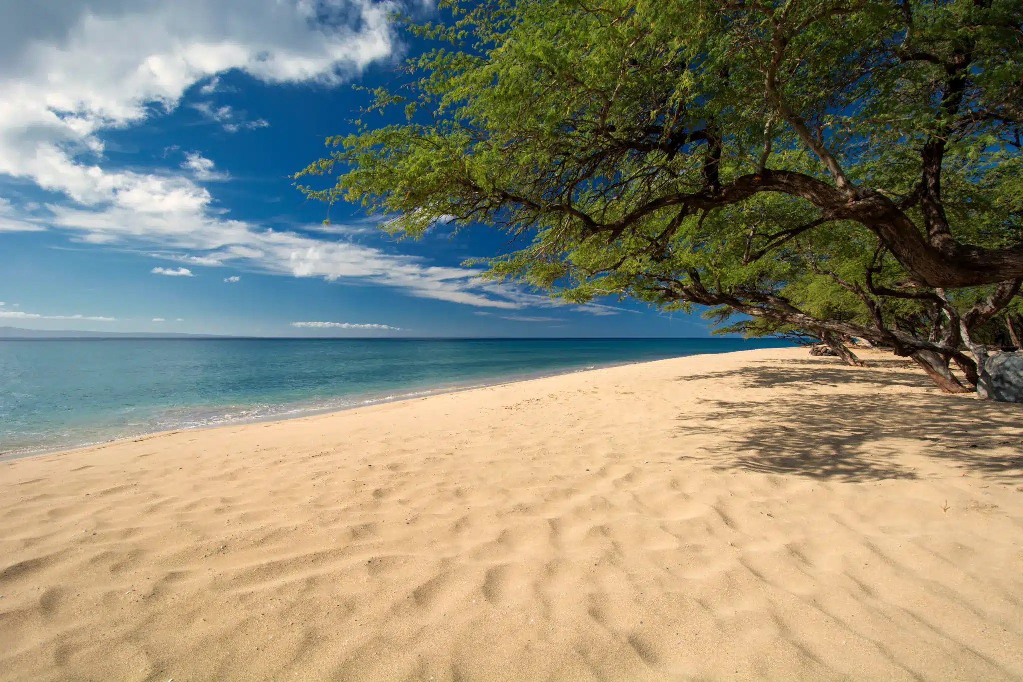 Papalaua Beach Park is a Beach located in the city of Wailuku on Maui, Hawaii