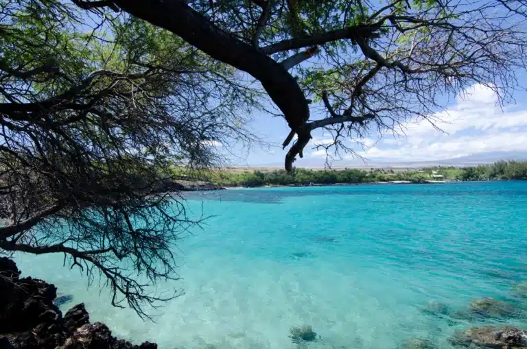 Puako Bay is a Beach located in the city of Waikoloa on Big Island, Hawaii