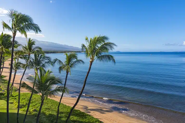 Sugar Beach is a Beach located in the city of Kihei on Maui, Hawaii