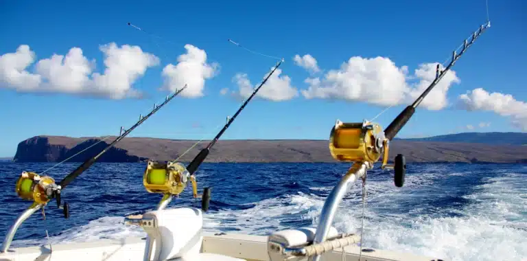 The Impact of Overfishing in Hawaii