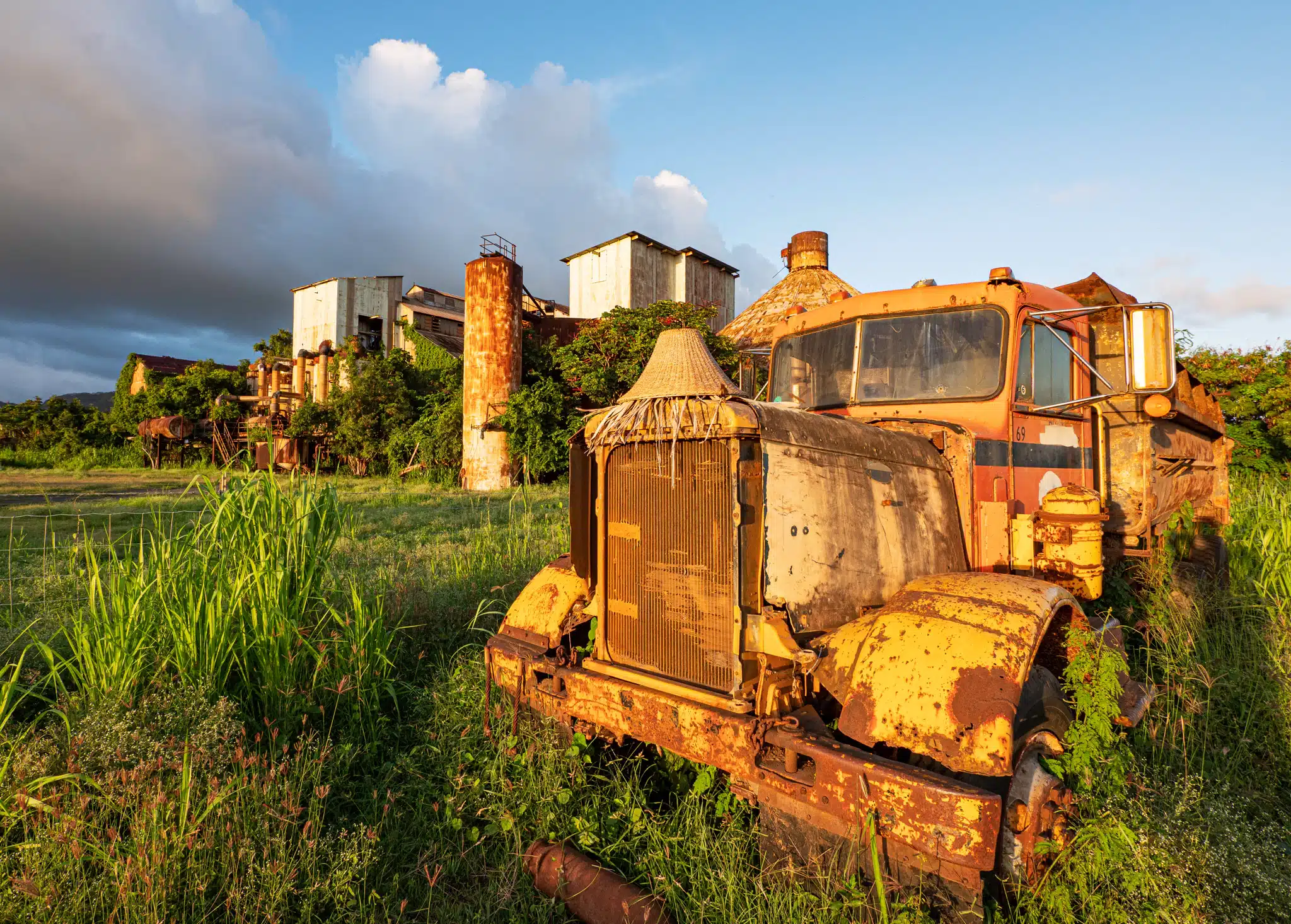 The Impacts of the Sugar Industry in Hawaii