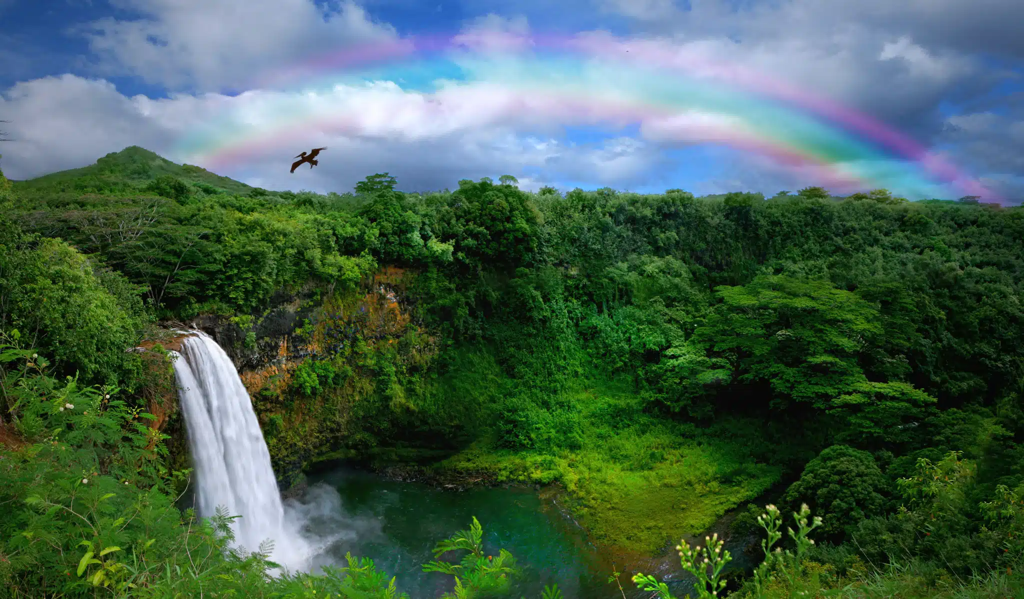 The Rainbow State: The Unique Weather Phenomena of Hawaii