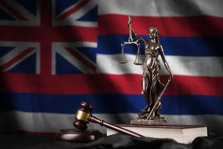 Understanding Hawaii's Constitution and State Laws